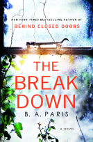 book cover for The Breakdown