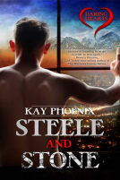 book cover for Steele and Stone