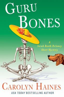 book cover for Guru Bones