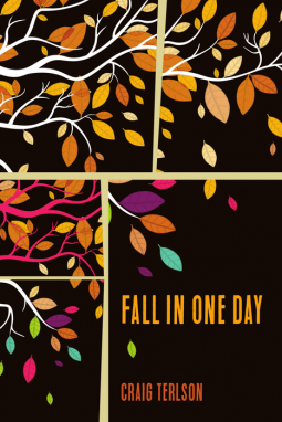 book cover for Fall in One Day