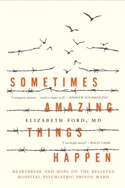 book cover for Sometimes Amazing Things Happen
