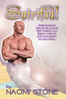 book cover for Spirited