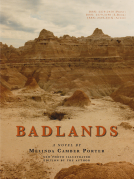 book cover for Badlands, A Novel