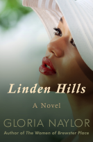 book cover for Linden Hills