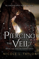 book cover for Piercing the Veil
