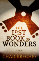 book cover for The Lost Book of Wonders