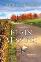 book cover for Plain Missing