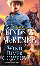 book cover for Wind River Cowboy