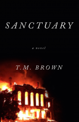 book cover for Sanctuary