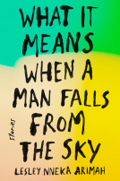 book cover for What It Means When a Man Falls from the Sky