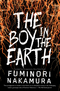 book cover for The Boy in the Earth