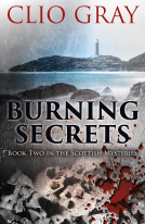 book cover for Burning Secrets
