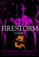 book cover for Firestorm: Volume 2