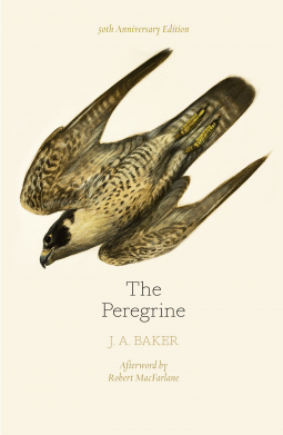 book cover for The Peregrine: 50th Anniversary Edition