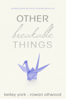book cover for Other Breakable Things