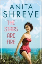 book cover for The Stars are Fire