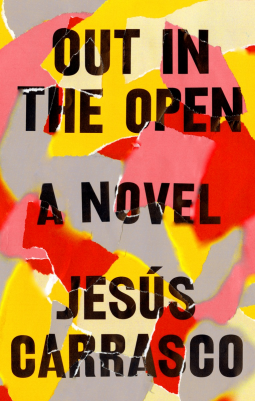 book cover for Out in the Open