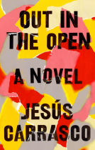 book cover for Out in the Open