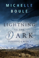 book cover for Lightning in the Dark