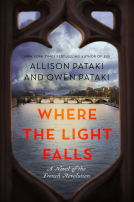 book cover for Where the Light Falls