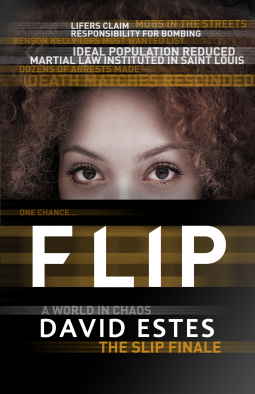 book cover for Flip