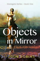book cover for Objects in Mirror