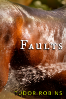 book cover for Faults