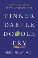 book cover for Tinker Dabble Doodle Try