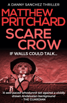 book cover for Scarecrow
