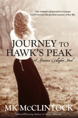 book cover for Journey to Hawk’s Peak
