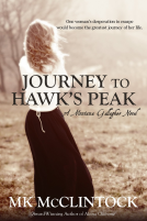 book cover for Journey to Hawk’s Peak