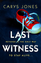 book cover for Last Witness
