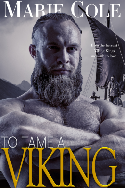 book cover for To Tame A Viking