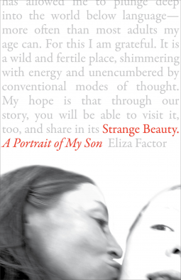 book cover for Strange Beauty