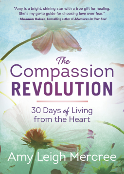 book cover for The Compassion Revolution
