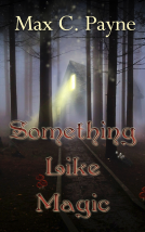 book cover for Something Like Magic