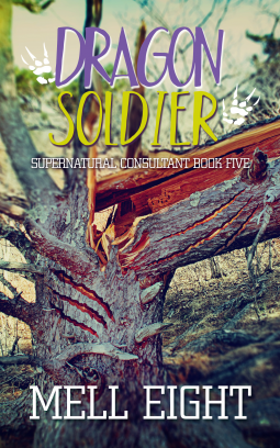 book cover for Dragon Soldier