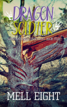 book cover for Dragon Soldier