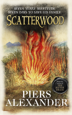 book cover for Scatterwood