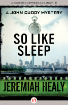 book cover for So Like Sleep