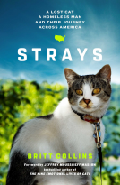 book cover for Strays