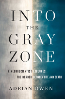 book cover for Into the Gray Zone