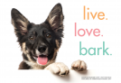 book cover for Live. Love. Bark.