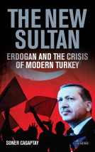 book cover for The New Sultan