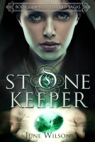book cover for Stone Keeper