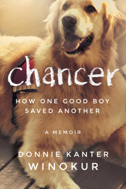 book cover for Chancer
