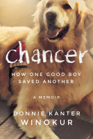 book cover for Chancer