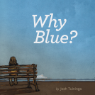 book cover for Why Blue?