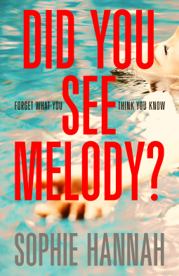book cover for Did You See Melody?