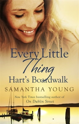 book cover for Every Little Thing